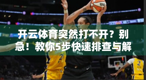 开云体育突然打不开？别急！教你5步快速排查与解决方法！