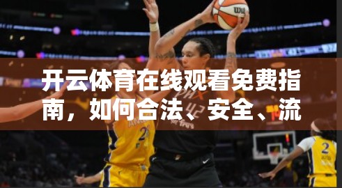 开云体育在线观看免费指南，如何合法、安全、流畅地畅享赛事直播？