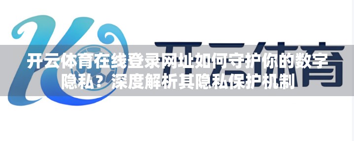 开云体育在线登录网址如何守护你的数字隐私？深度解析其隐私保护机制