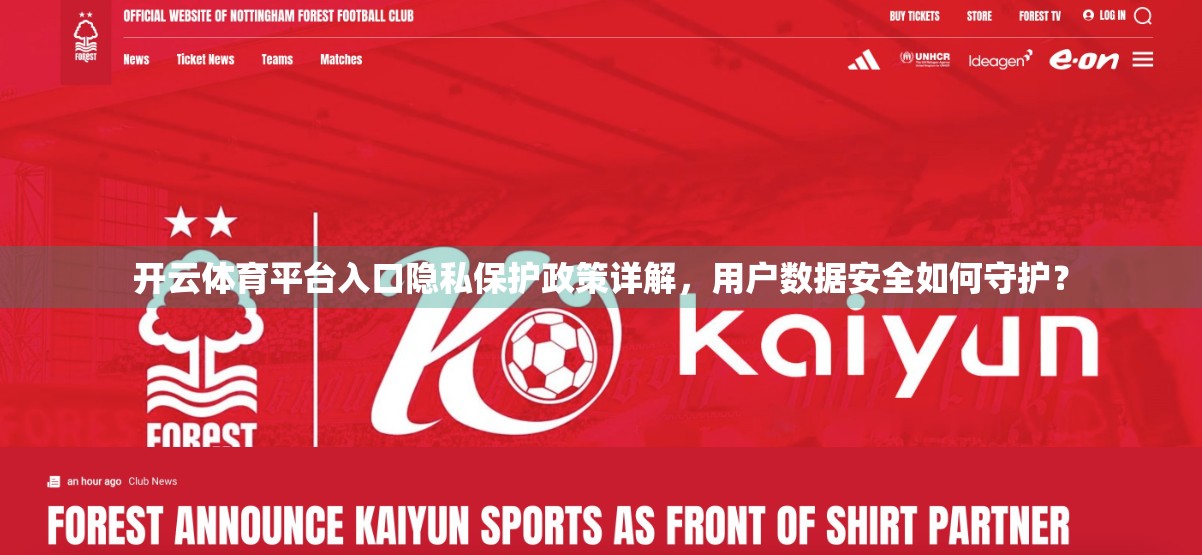 开云体育平台入口隐私保护政策详解，用户数据安全如何守护？