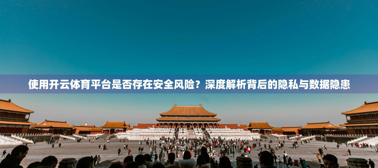 使用开云体育平台是否存在安全风险？深度解析背后的隐私与数据隐患