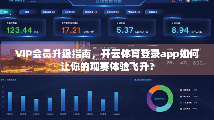 VIP会员升级指南，开云体育登录app如何让你的观赛体验飞升？