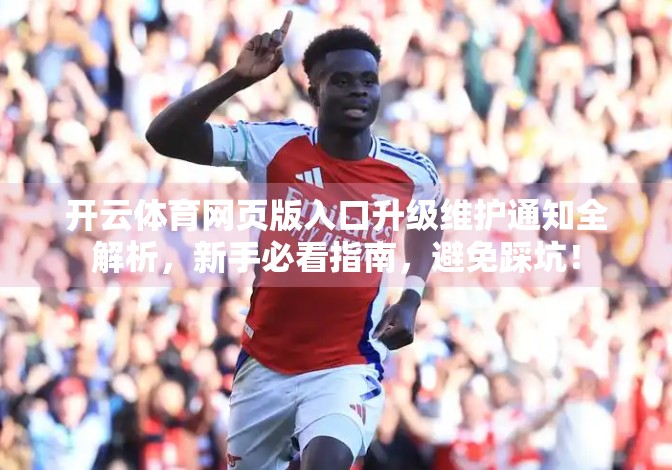开云体育网页版入口升级维护通知全解析，新手必看指南，避免踩坑！