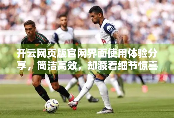 开云网页版官网界面使用体验分享，简洁高效，却藏着细节惊喜！