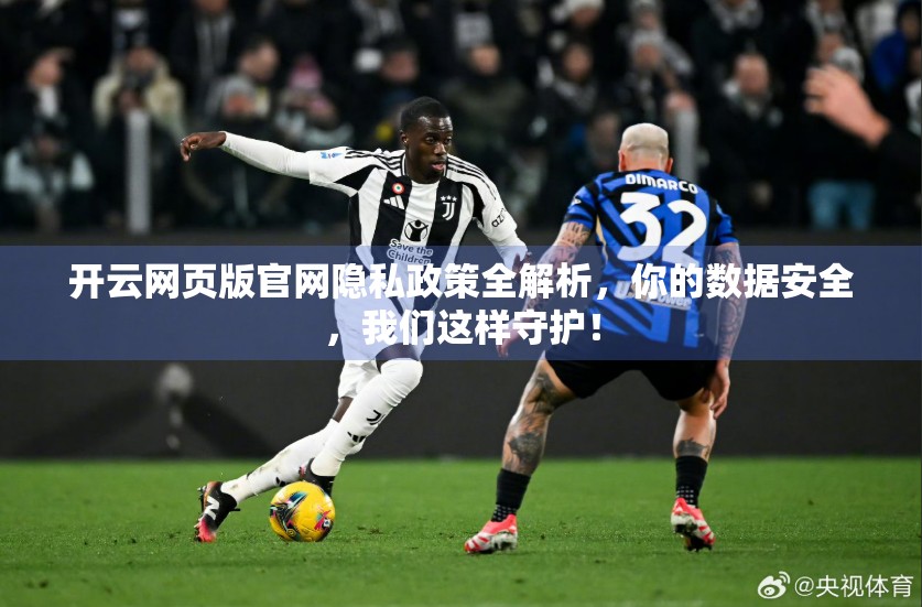 开云网页版官网隐私政策全解析，你的数据安全，我们这样守护！