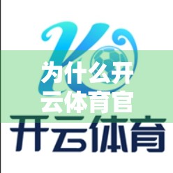 为什么开云体育官方网址入口如此稳定可靠？深度解析其背后的技术与运营逻辑
