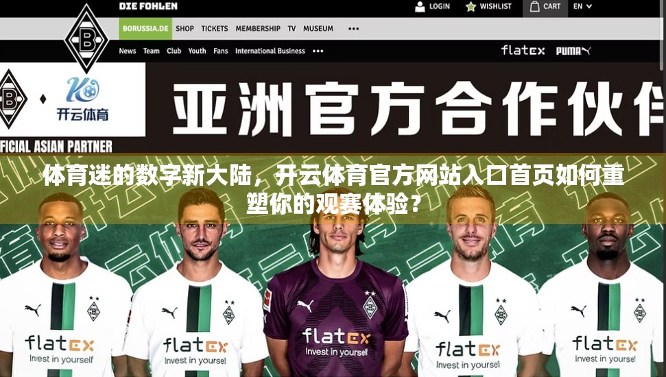 体育迷的数字新大陆，开云体育官方网站入口首页如何重塑你的观赛体验？