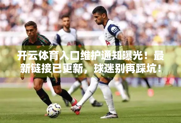 开云体育入口维护通知曝光！最新链接已更新，球迷别再踩坑！