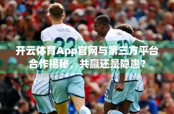 开云体育App官网与第三方平台合作揭秘，共赢还是隐患？