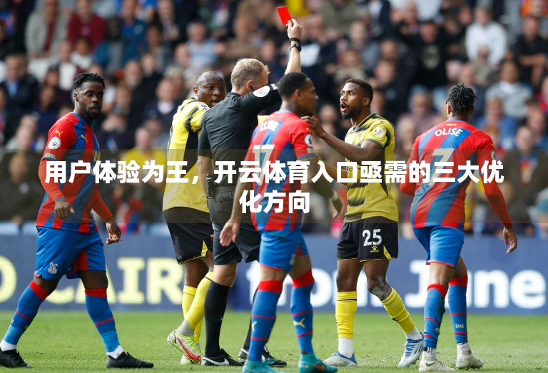 用户体验为王，开云体育入口亟需的三大优化方向